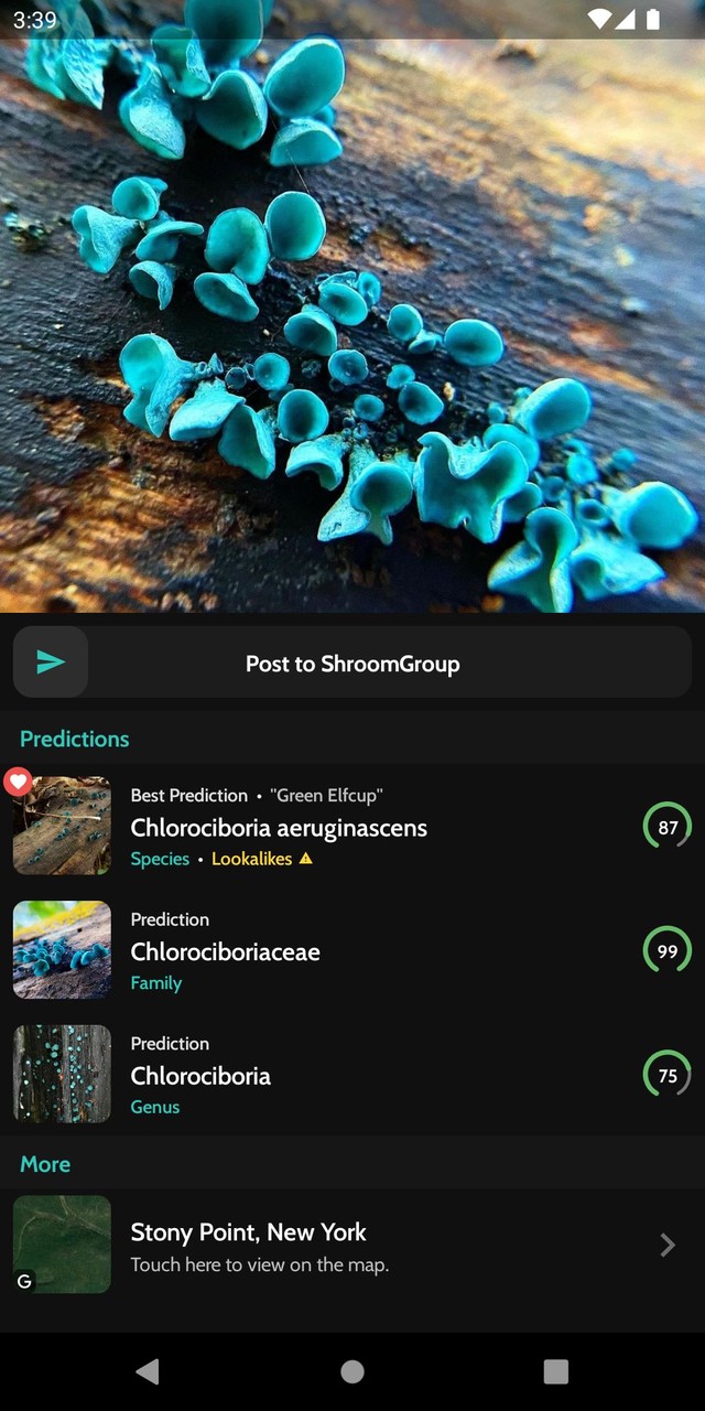 守护之境<span>(Beta)</span> screenshot image 23_Popularmodapk.com