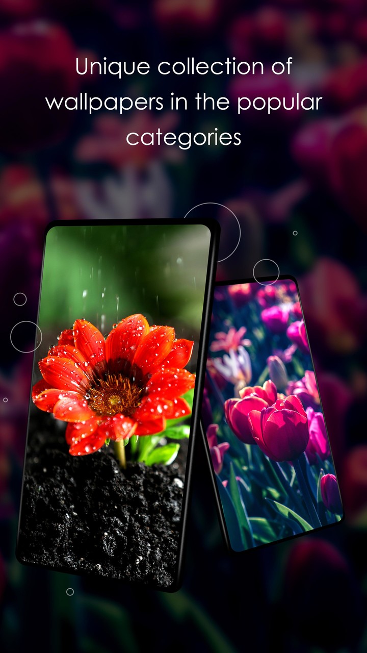 BMX Space<span>(Unlimited money)</span> screenshot image 5_Popularmodapk.com