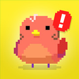 Find Bird - match puzzle1.0.1_Popularmodapk.com