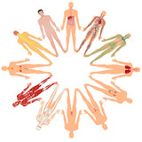 BioMais (versão 2.0)0.0.13_Popularmodapk.com