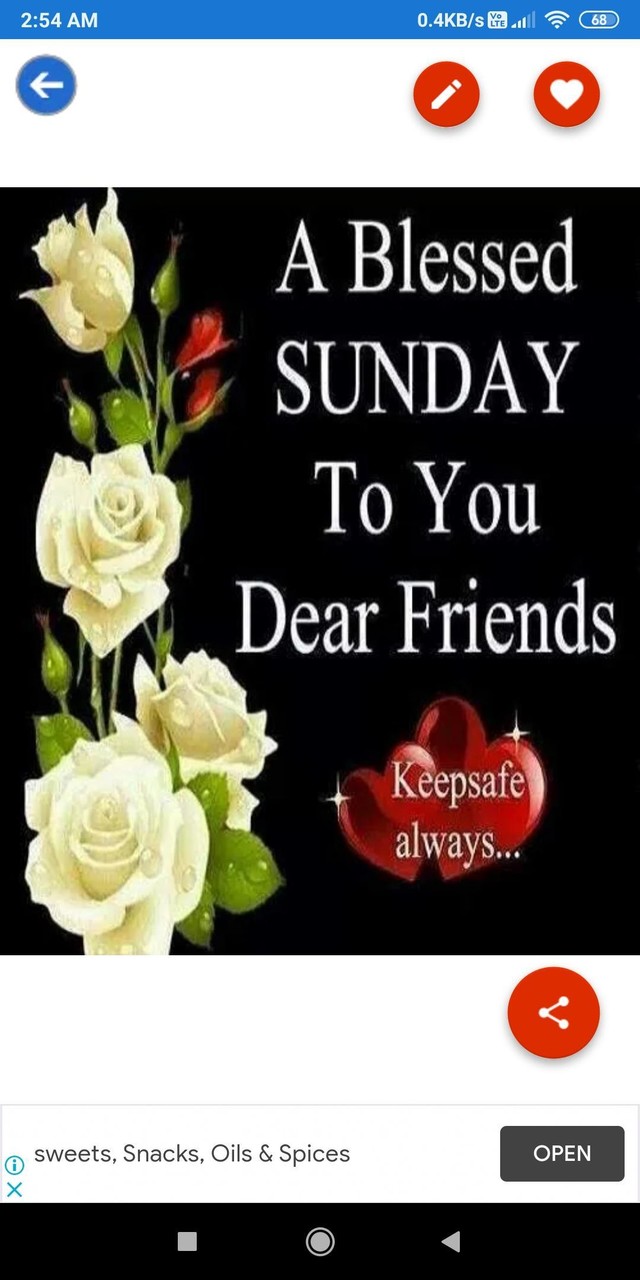 Happy Sunday: Greetings, GIF Wishes, Text Quotes screenshot image 2_Popularmodapk.com