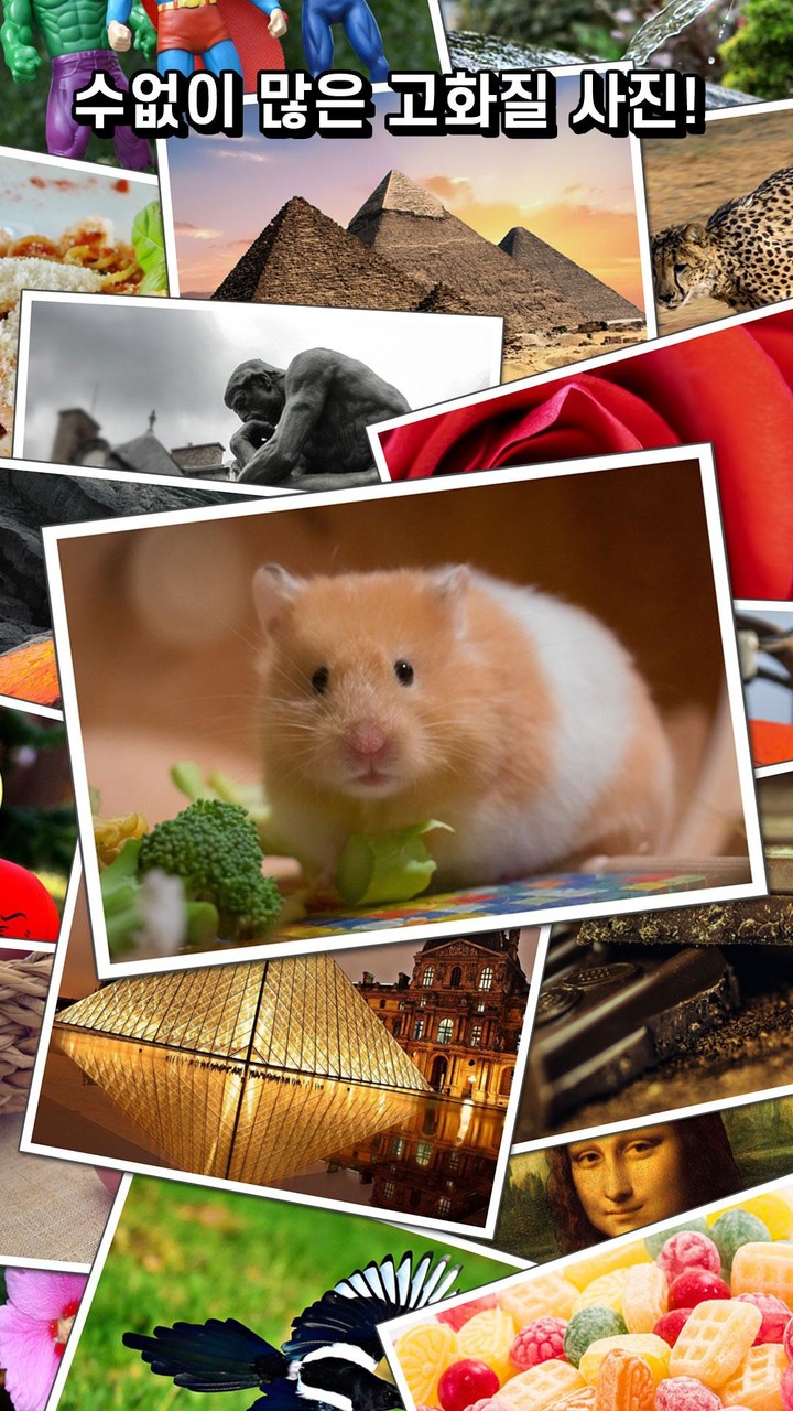 스핀 그림퀴즈 - 사진 연상 퀴즈 screenshot image 5_Popularmodapk.com