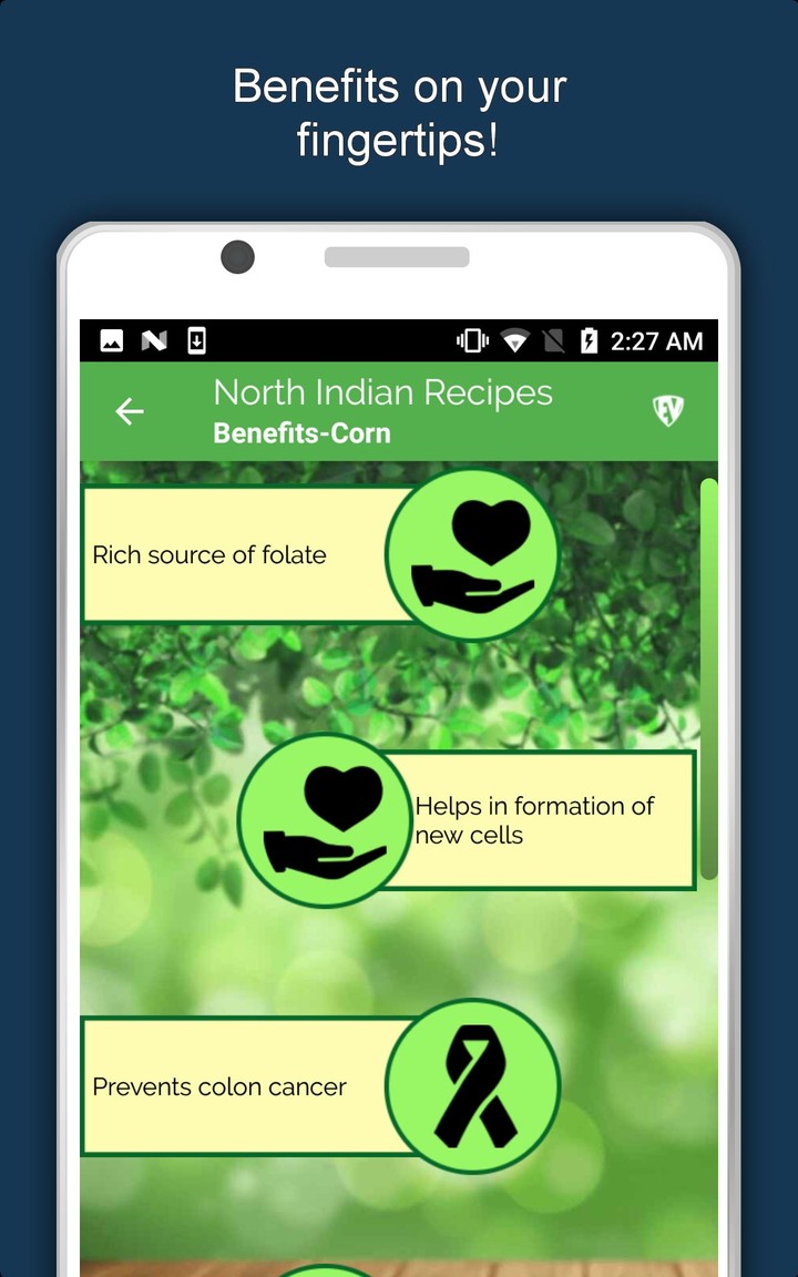North Indian Food Recipes Book screenshot image 16_Popularmodapk.com