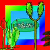Plant Evolution2.17_Popularmodapk.com