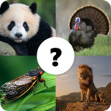 Animals Quiz2.0.1_Popularmodapk.com