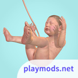 9 Months<span>(Mod Menu)</span>1.36.2_Popularmodapk.com