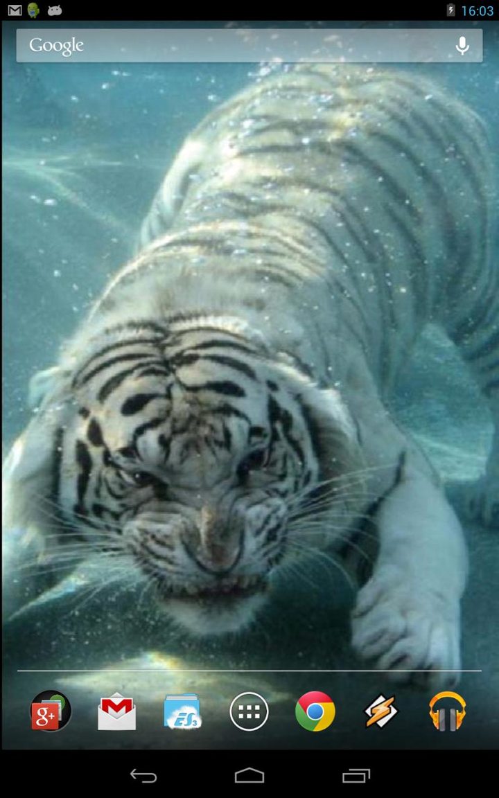Underwater Tiger screenshot image 3_Popularmodapk.com