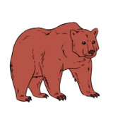 How to draw animals step by st1.2_Popularmodapk.com