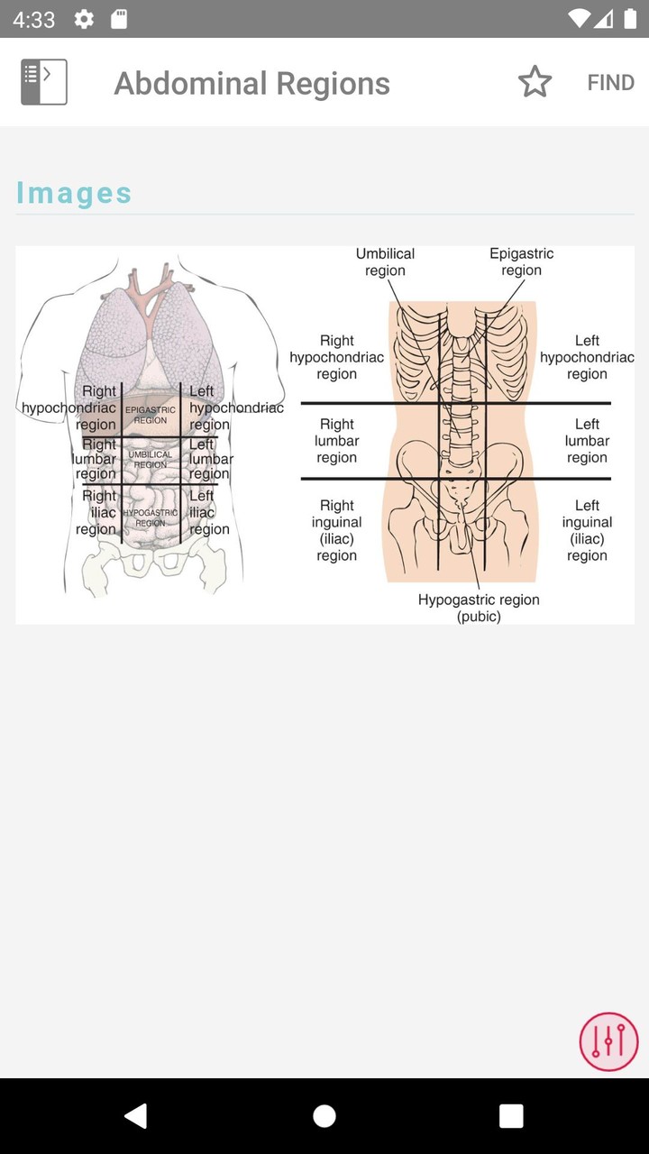 Taber's Medical Dictionary screenshot image 5_Popularmodapk.com