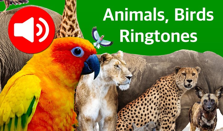 Animal Ringtones & Wallpapers screenshot image 17_Popularmodapk.com