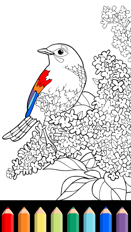 Coloring Book (by playground) screenshot image 9_Popularmodapk.com
