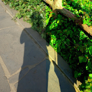 Root Words : Prefix Suffix screenshot image 1_Popularmodapk.com