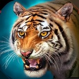 虎王模拟器破解版<span>(mod)</span>1.6.6_Popularmodapk.com