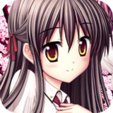 さくら、咲きました。3.01.1009_Popularmodapk.com
