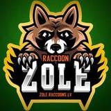 Latvian card game: RaccoonZole3.1.25_Popularmodapk.com