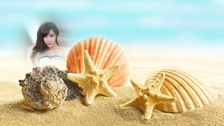 Seashell Photo Frames montage screenshot image 5_Popularmodapk.com