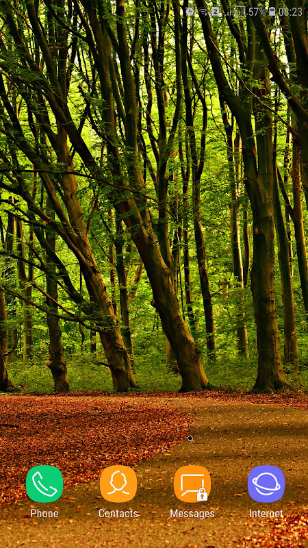 Forest Wallpaper screenshot image 37_Popularmodapk.com