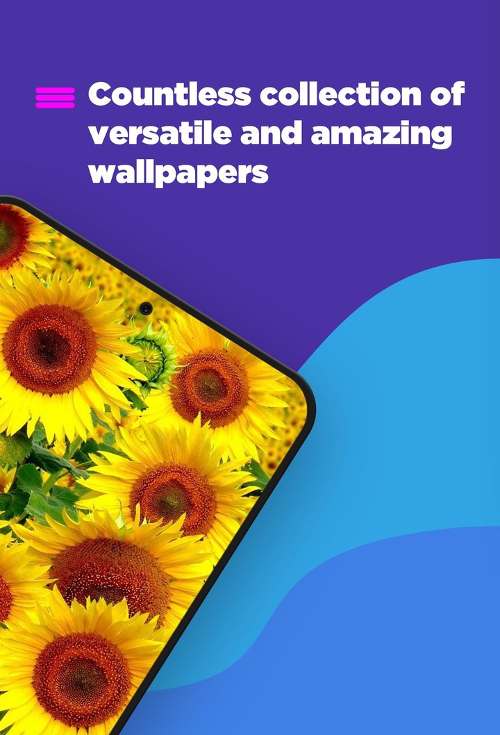 Sunflower Wallpaper screenshot image 3_Popularmodapk.com