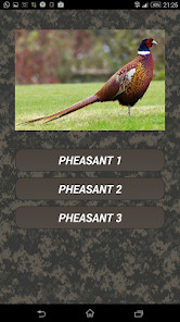 Jogos de Motos - Brasileiras screenshot image 4_Popularmodapk.com