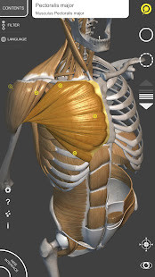 Pizzaria Ratatouille screenshot image 1_Popularmodapk.com