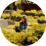 Gilmore Girls QuizV9_Popularmodapk.com