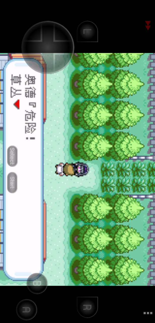 Pokemon Fiery Cute Version(Emulator port) screenshot image 3_Popularmodapk.com