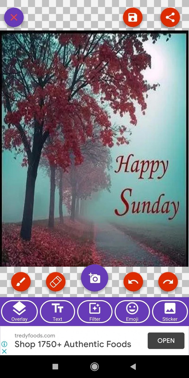 Happy Sunday: Greetings, GIF Wishes, Text Quotes screenshot image 3_Popularmodapk.com