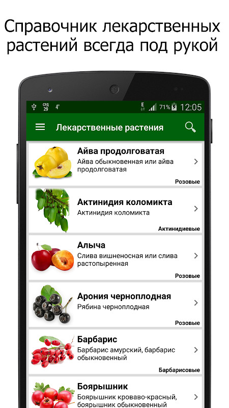 한인텔 - 전 세계 한인민박, 여행 예약 screenshot image 1_Popularmodapk.com