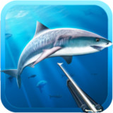 Hunter underwater spearfishing<span>(Unlimited Money)</span>3.26_Popularmodapk.com