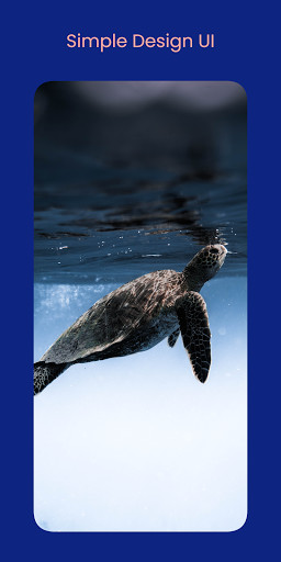 Wallpapers: Wallpaper Changer screenshot image 6_Popularmodapk.com