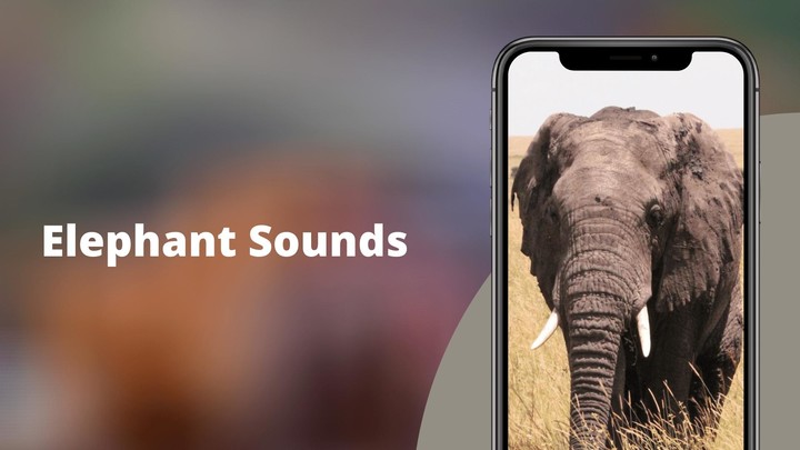 Elephant Sounds screenshot image 1_Popularmodapk.com