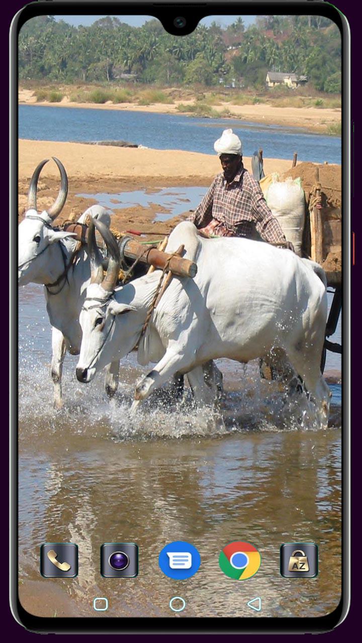 Medical Logo Maker screenshot image 26_Popularmodapk.com