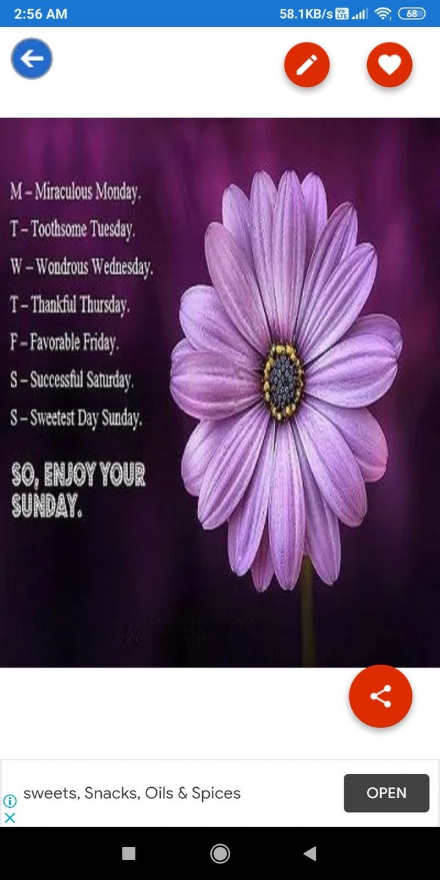 Happy Sunday: Greetings, GIF Wishes, Text Quotes screenshot image 4_Popularmodapk.com