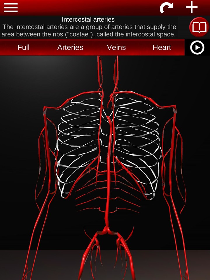 Circulatory System 3D Anatomy screenshot image 11_Popularmodapk.com