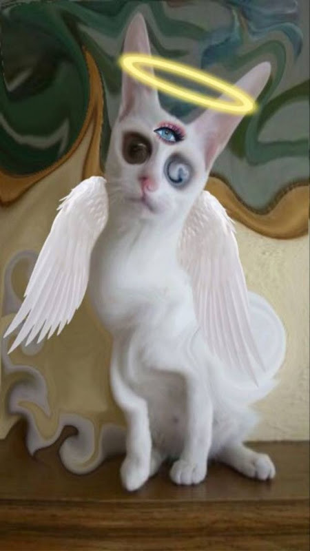 Dreamcore Weirdcore Wallpapers screenshot image 7_Popularmodapk.com