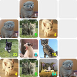 Meow Meow Woof Woof - 20481.3.0_Popularmodapk.com