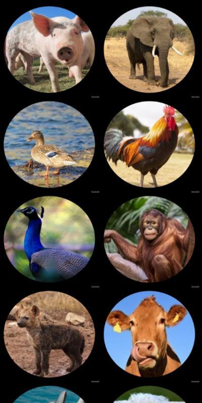 The Strongest parking(Trial Version) screenshot image 1_Popularmodapk.com