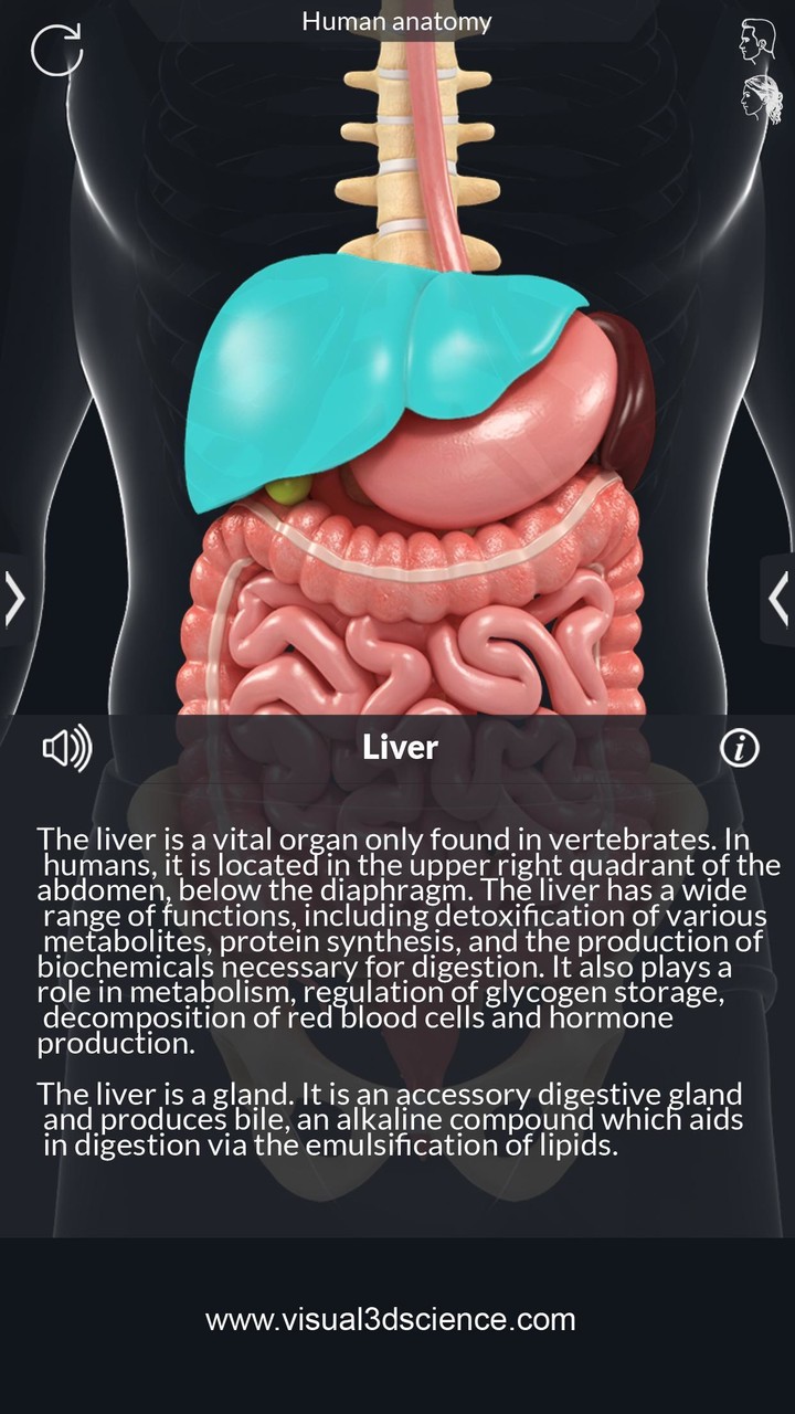 Organs Anatomy Pro. screenshot image 3_Popularmodapk.com