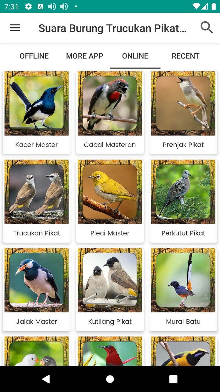 Suara Burung Trucukan Pikat screenshot image 2_Popularmodapk.com