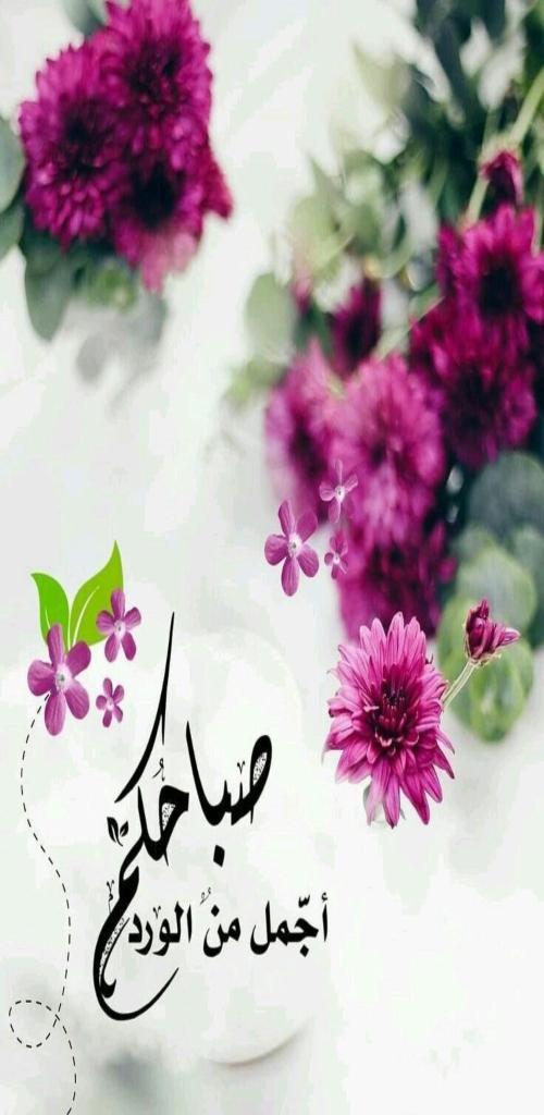 صور صباحيات ومسائيات الخير screenshot image 12_Popularmodapk.com