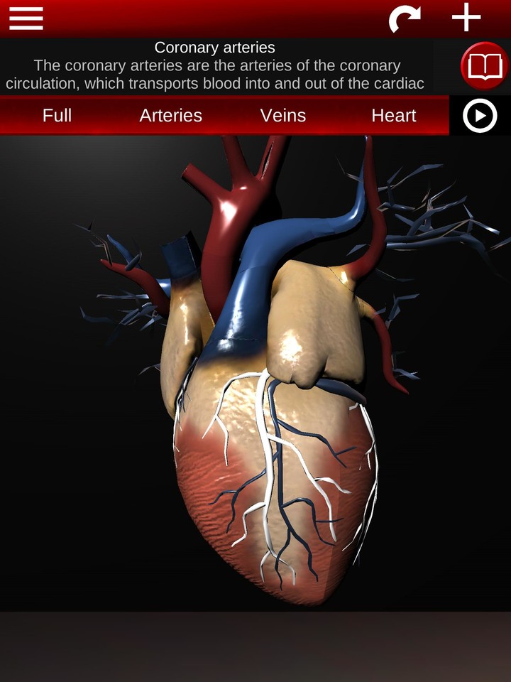 Circulatory System 3D Anatomy screenshot image 12_Popularmodapk.com