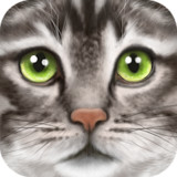 Ultimate Cat Simulator<span>(Unlimited money)</span>1.1_Popularmodapk.com