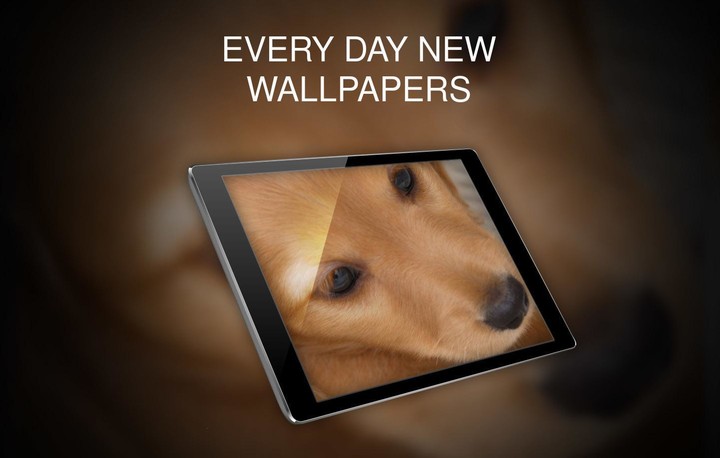 Wallpapers 4K with dogs screenshot image 10_Popularmodapk.com