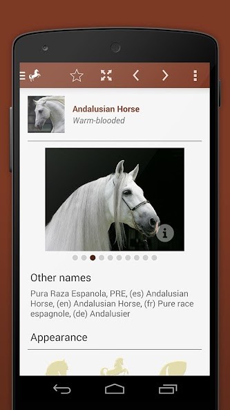 aesthetic Cool Wallpapers HD screenshot image 5_Popularmodapk.com