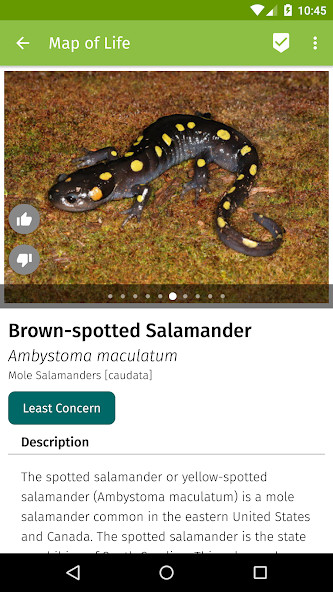 Map of Life<span>(No Ads)</span> screenshot image 4_Popularmodapk.com