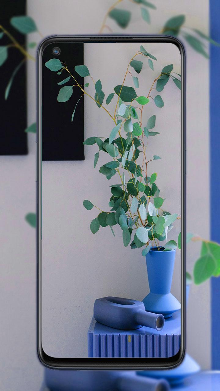 OnePlus nord n10 5G screenshot image 9_Popularmodapk.com