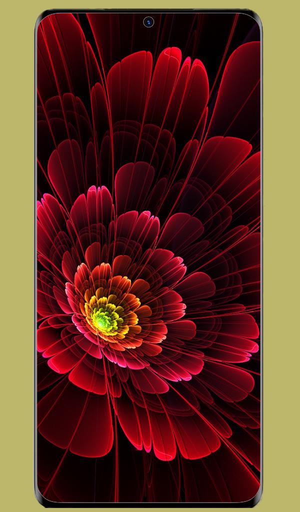 Wallpaper For Oppo Reno 6 pro screenshot image 10_Popularmodapk.com