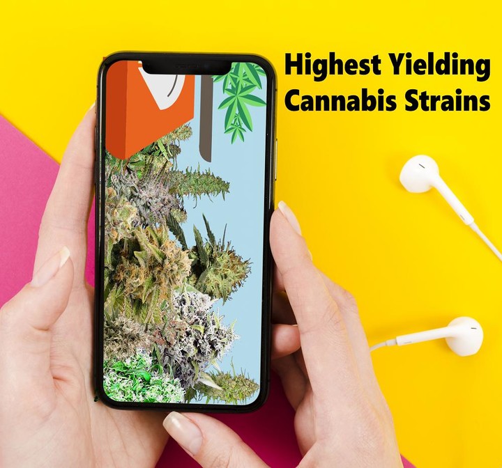 Grow Weed Farm:Cannabis Plants screenshot image 3_Popularmodapk.com