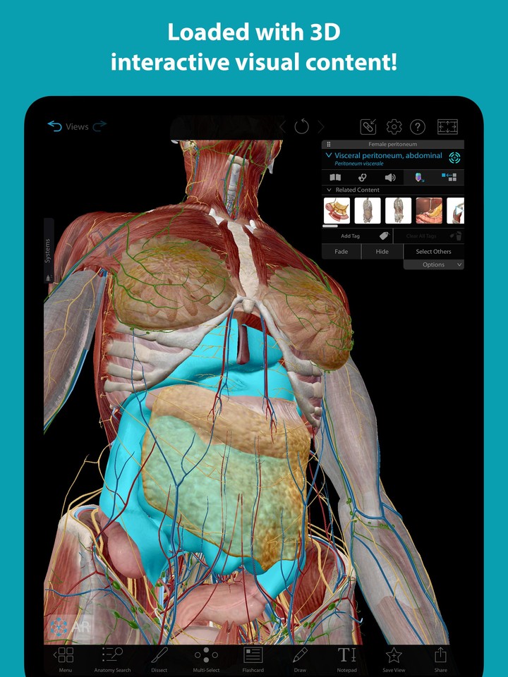 Human Anatomy Atlas 2022＋ screenshot image 15_Popularmodapk.com