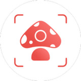 Picture Mushroom - Mushroom ID2.8.14_Popularmodapk.com